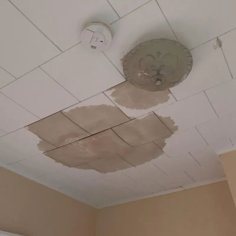 Ceiling Water Damage Repair in Jonesborough, TN