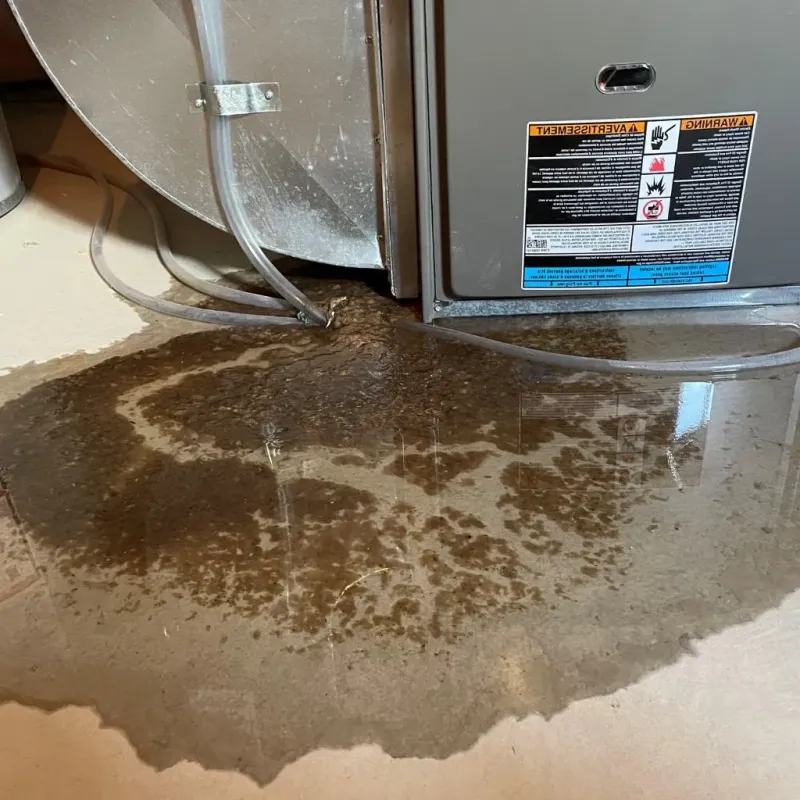 Pipe Burst and Leak Restoration in Jonesborough, TN