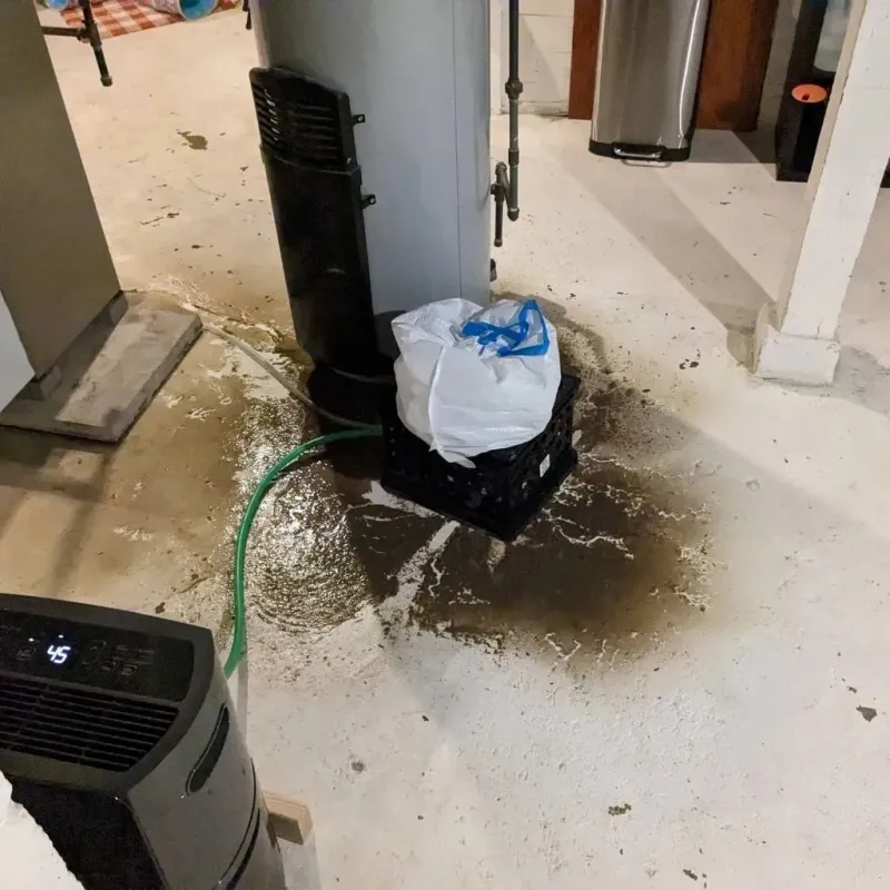 Sewage Backup Cleanup Service in Jonesborough, TN
